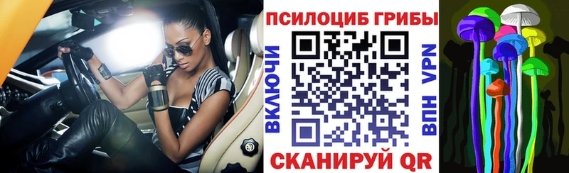 кракен ТОР Изобильный Галлюциногенные грибы Magic Shrooms продажа наркотиков